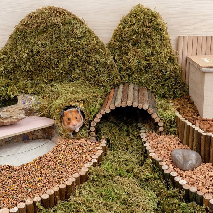 Hamster Digging Cage Landscaping Supplies