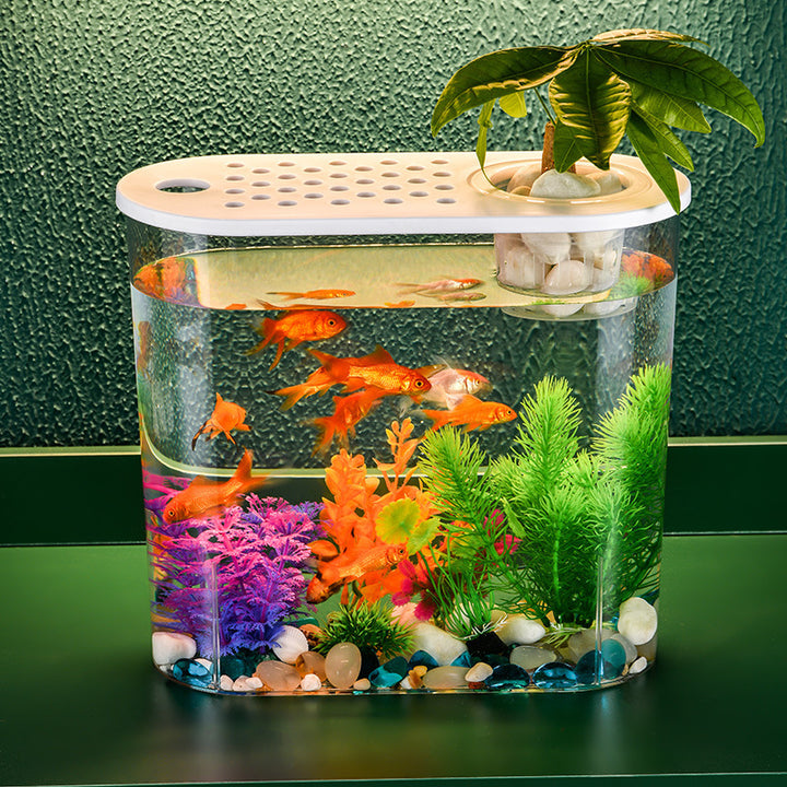 Acrylic Transparent Incubator Goldfish Tank