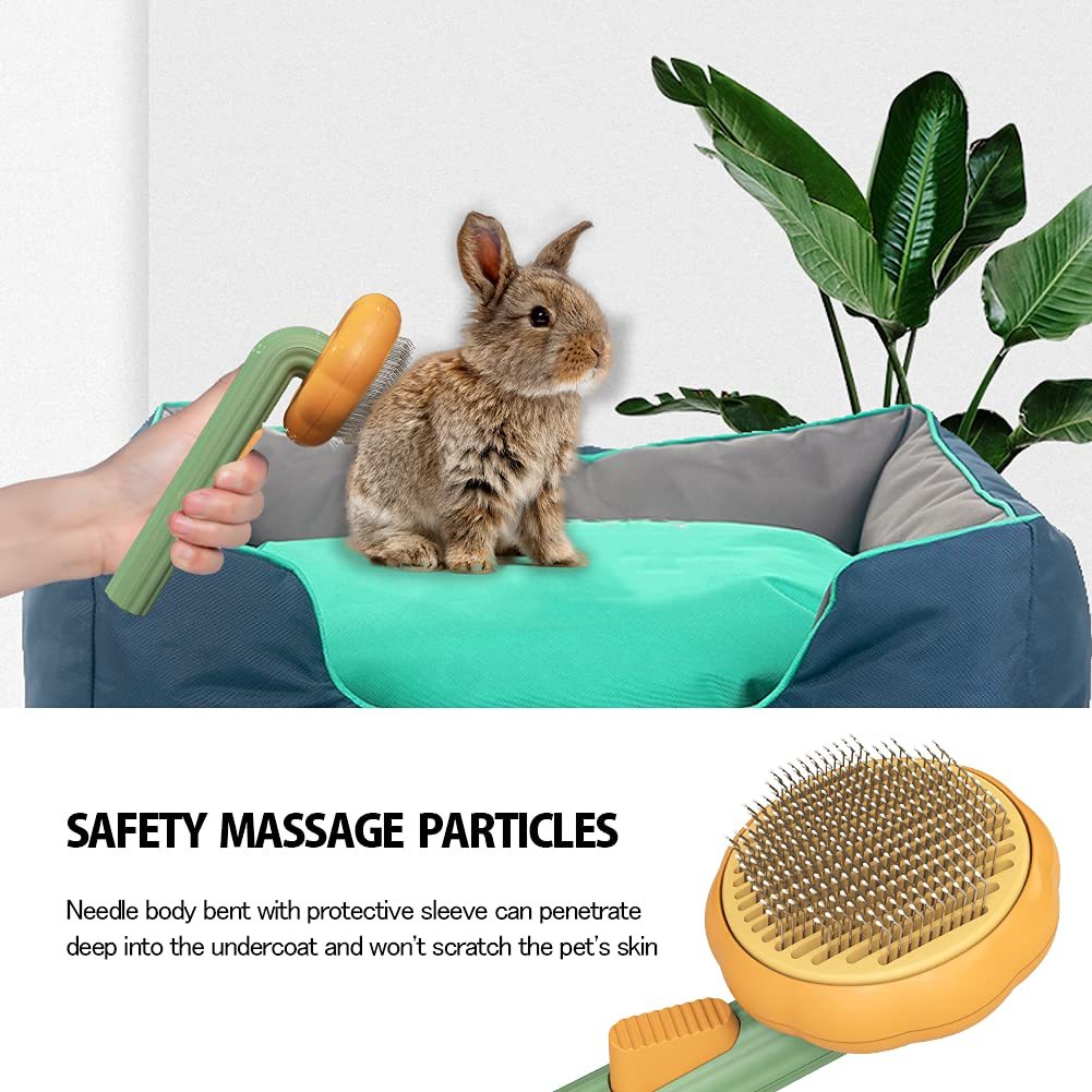 Grooming Pet Pumpkin Brush