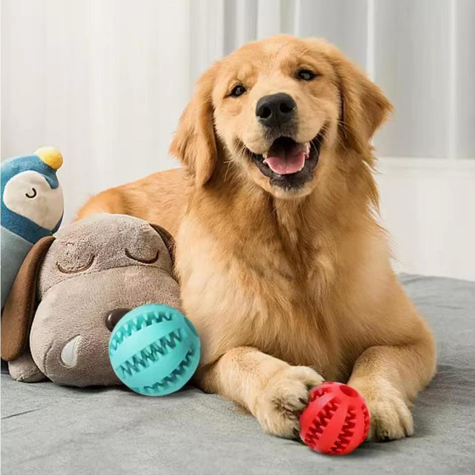 Dog Interactive Chewing Bite Resistant Toys