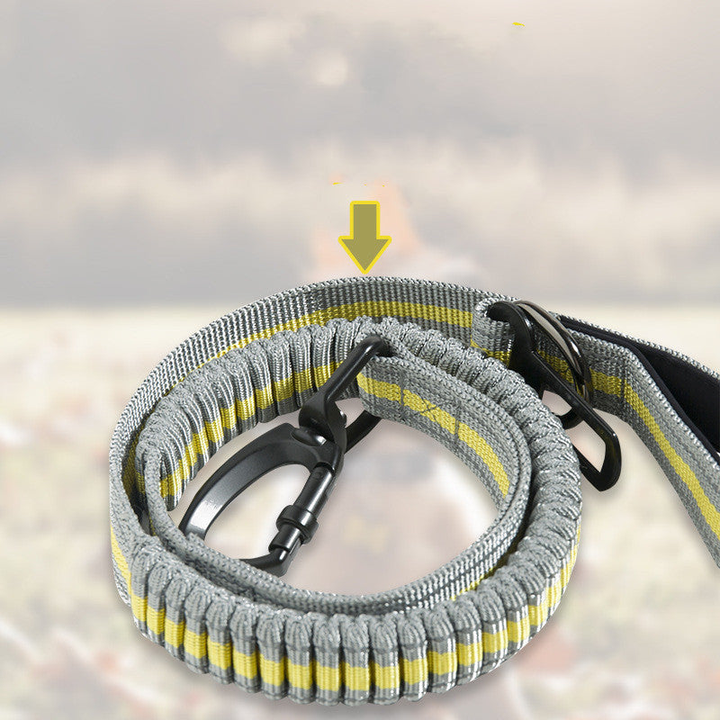 Pet Elastic Retractable Dog Leash