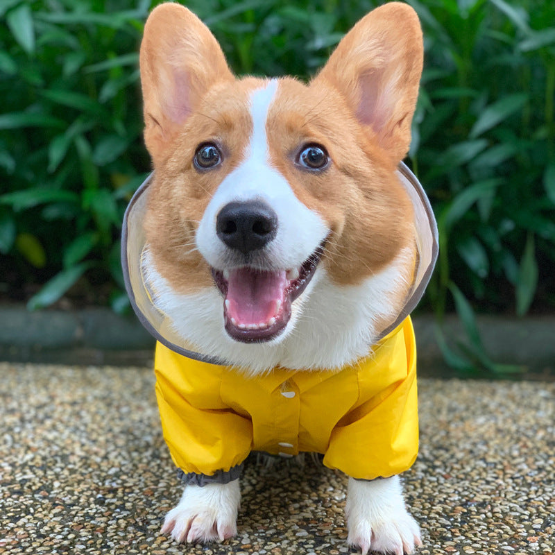 Dog Raincoat Four Legged Waterproof Clothing