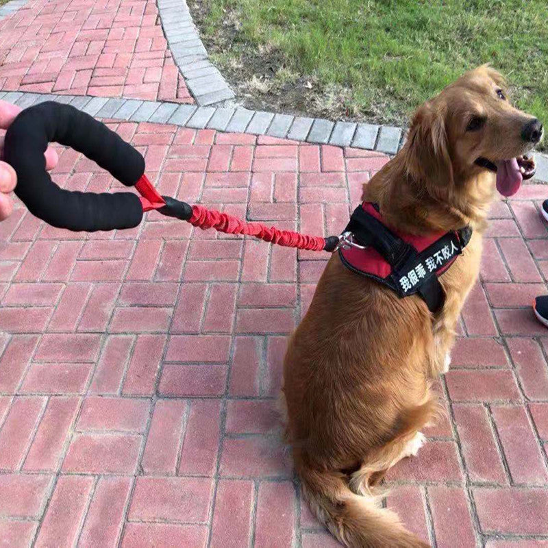 Dog Explosion-proof Leash Elastic Retractable