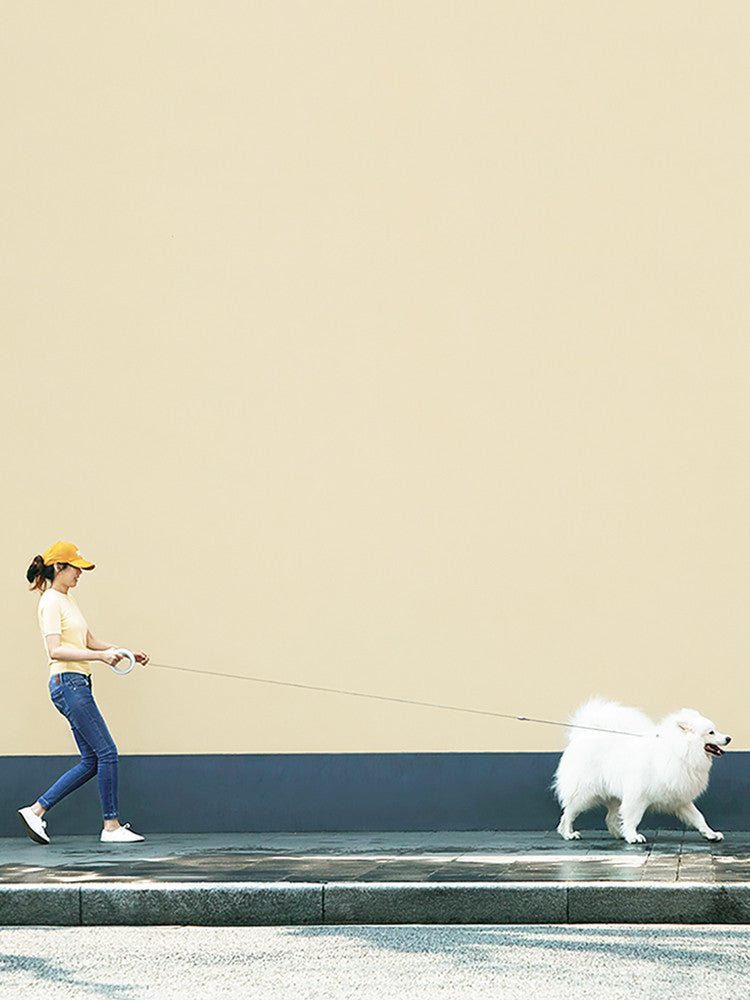 Meng UFO Retractable Leash