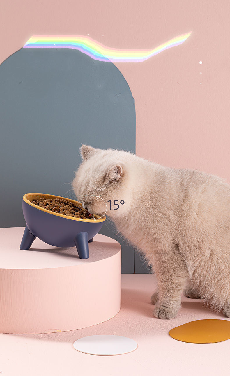 Bowl With Stand Pet Feeding Food Bowls