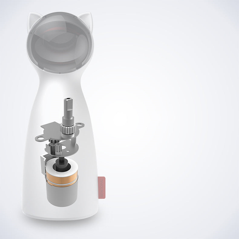 Interactive Smart Teasing Pet LED Laser Funny