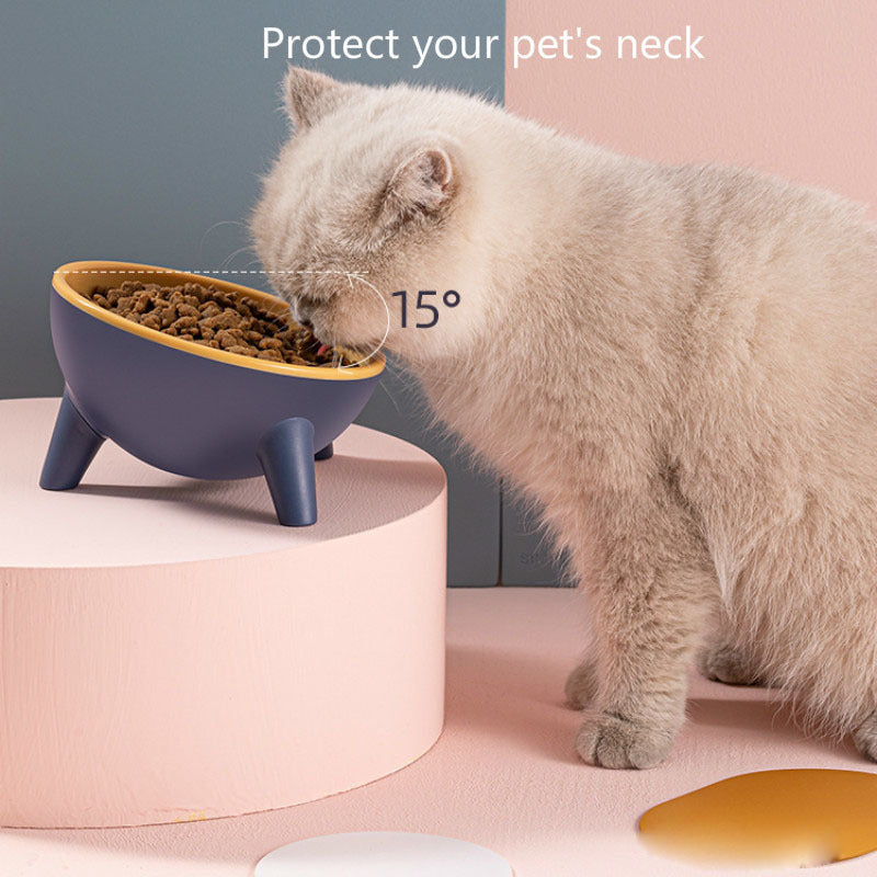 Bowl With Stand Pet Feeding Food Bowls