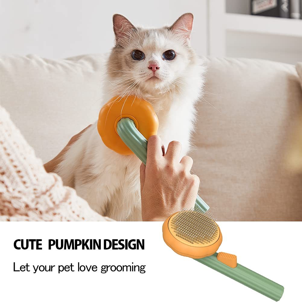 Grooming Pet Pumpkin Brush