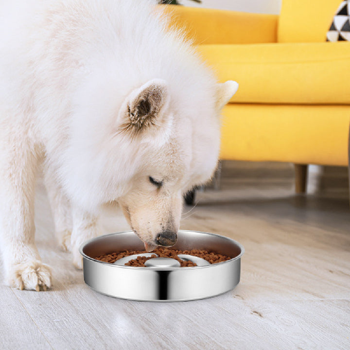 Pet Slow Feeding Bowl