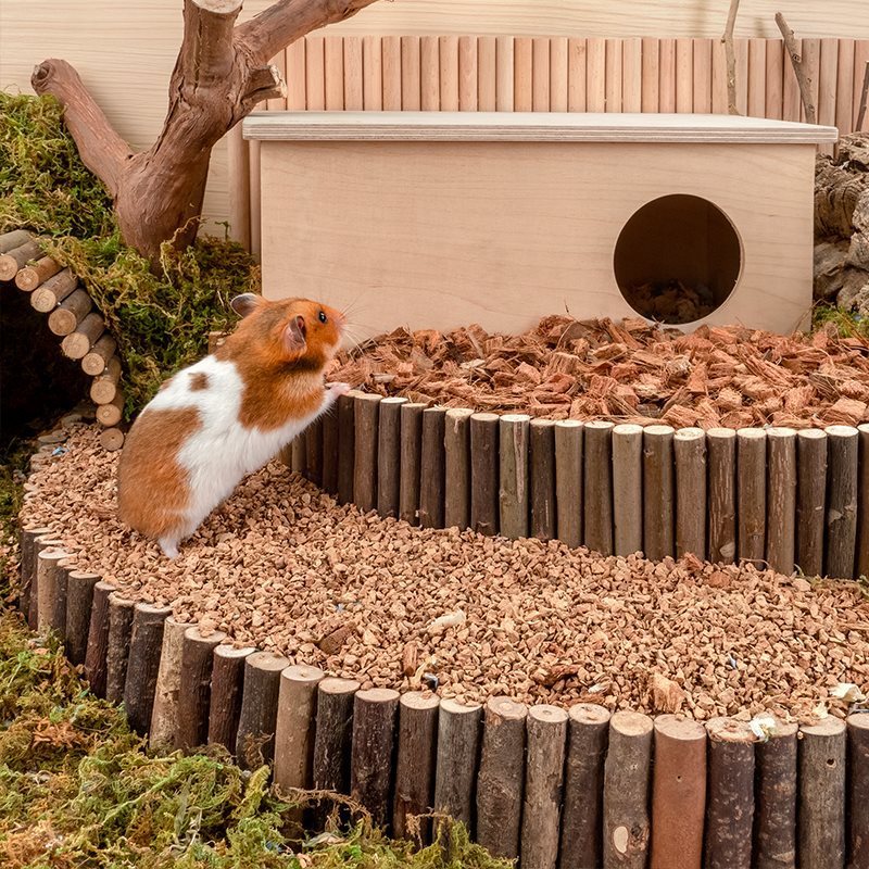 Hamster Digging Cage Landscaping Supplies