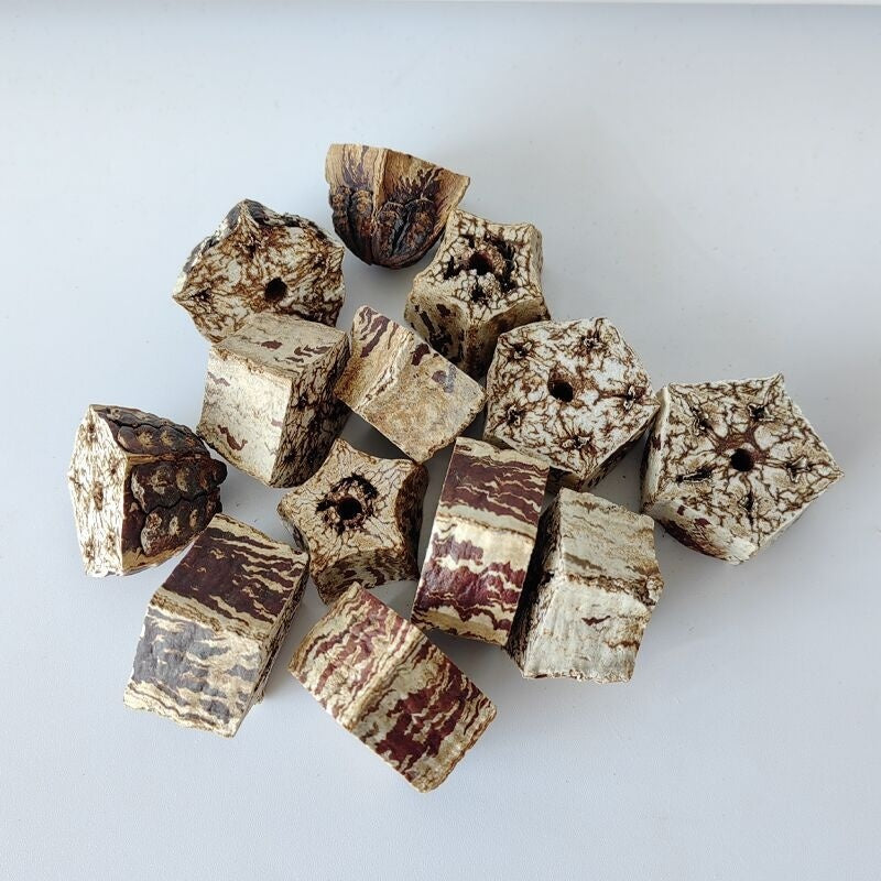 Parrot Stand Rod Bird Cage