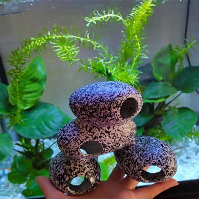 Fish And Shrimp House Breeding