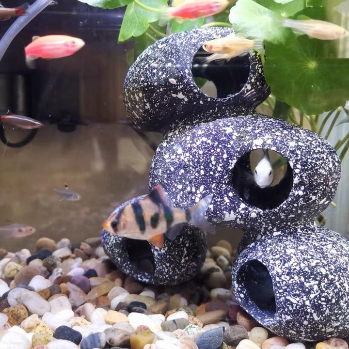 Fish And Shrimp House Breeding