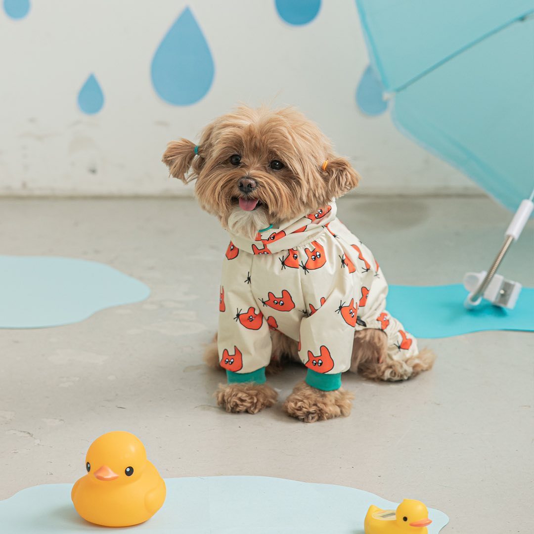 Pet Dog Waterproof All-around Raincoat