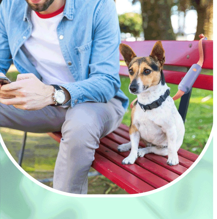 Pet Supplies Retractable Dog Leash