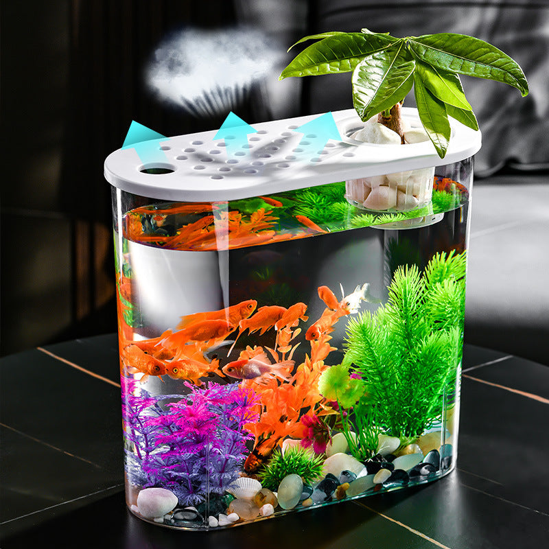 Acrylic Transparent Incubator Goldfish Tank