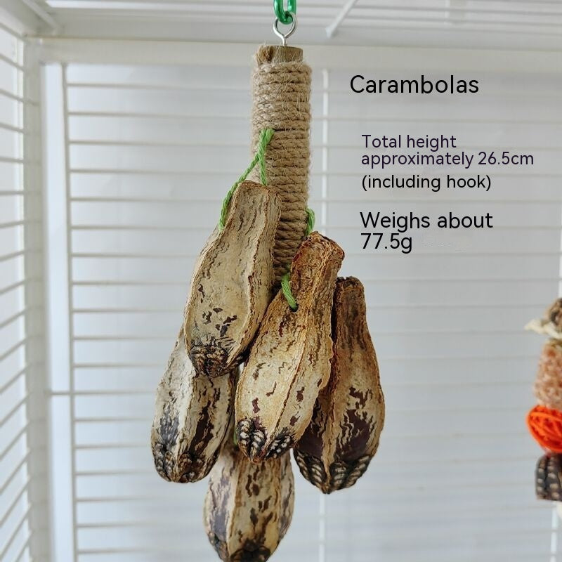 Parrot Stand Rod Bird Cage