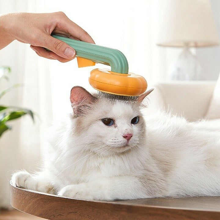 Grooming Pet Pumpkin Brush
