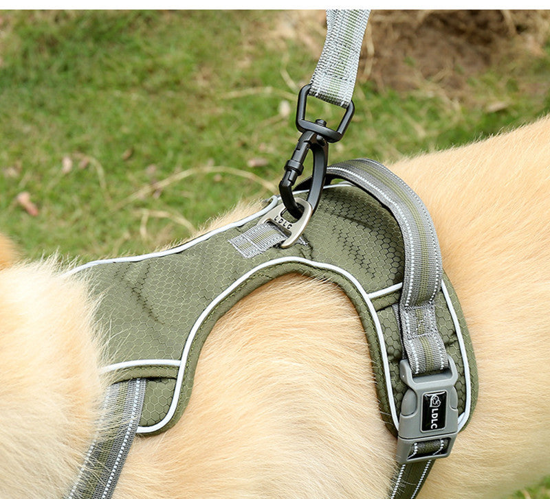 Pet Elastic Retractable Dog Leash