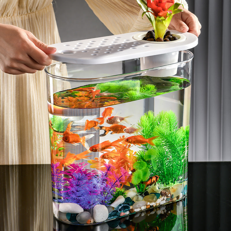 Acrylic Transparent Incubator Goldfish Tank