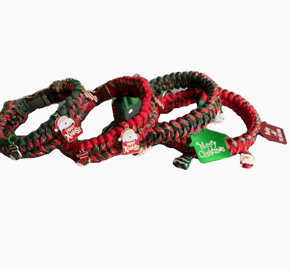 Hand Holding Rope Dog Leash