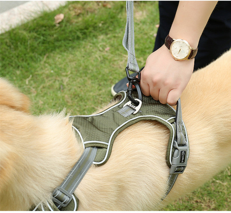 Pet Elastic Retractable Dog Leash