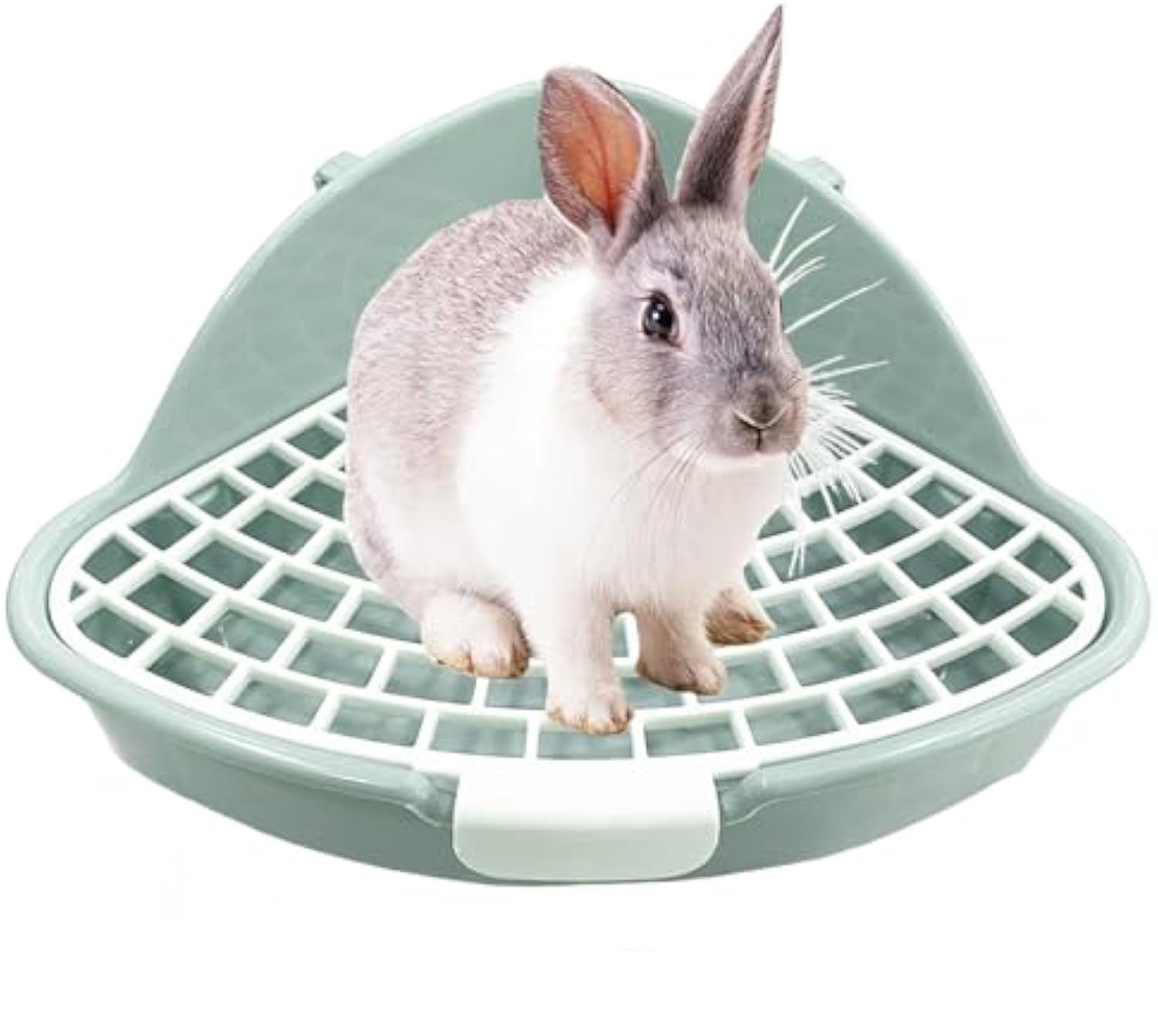 Rabbit Litter Box Bunny