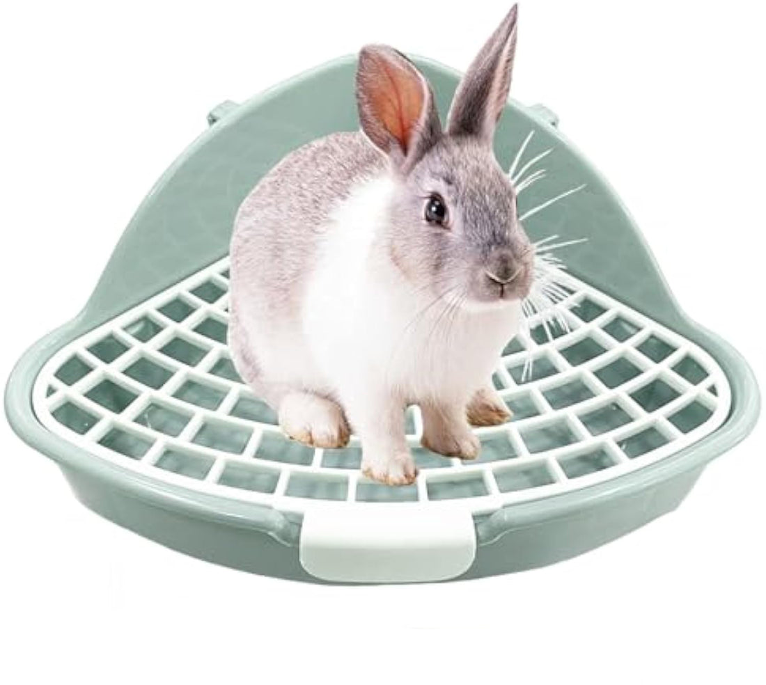 Rabbit Litter Box Bunny