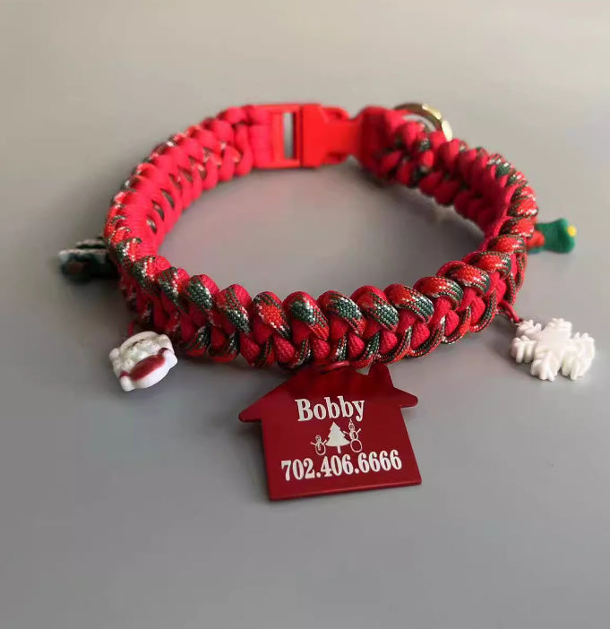 Hand Holding Rope Dog Leash