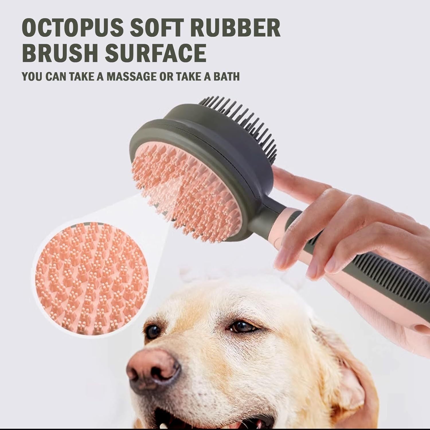 2 In 1 Double Side Brushes For Indoor Cats