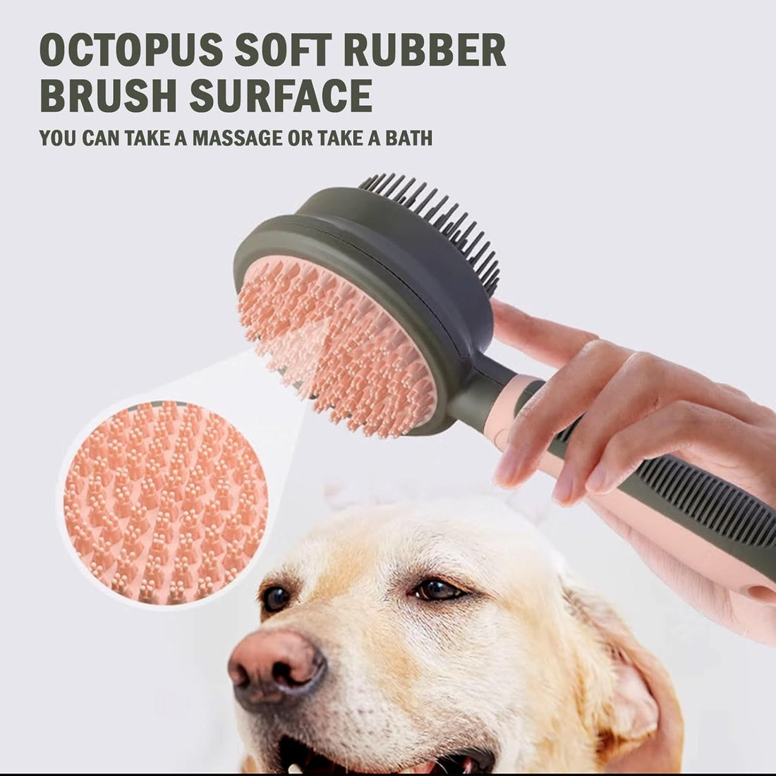 2 In 1 Double Side Brushes For Indoor Cats