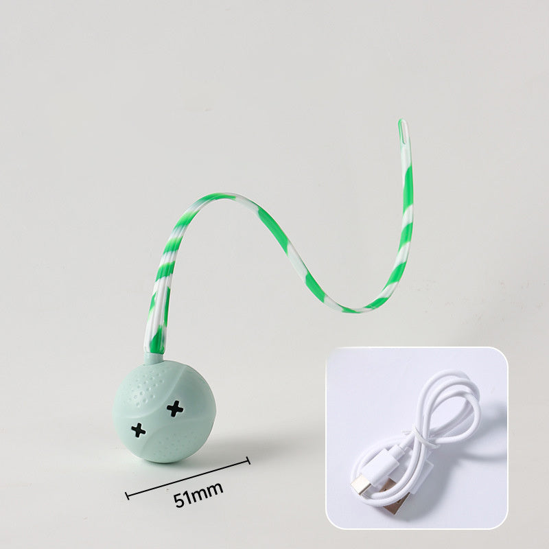 Pet Interactive Electric Balls Toy