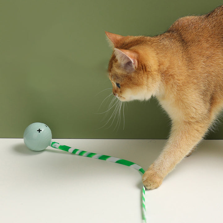 Pet Interactive Electric Balls Toy