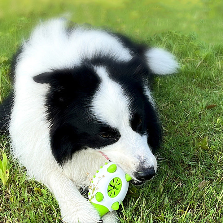 Pet Interactive Chewing Toy