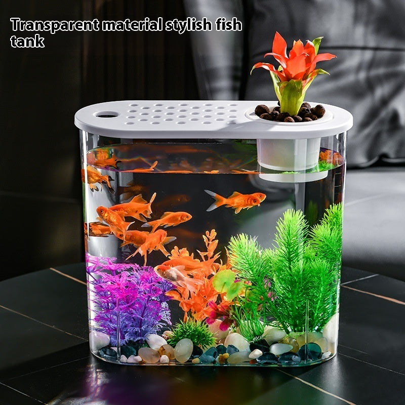 Acrylic Transparent Incubator Goldfish Tank