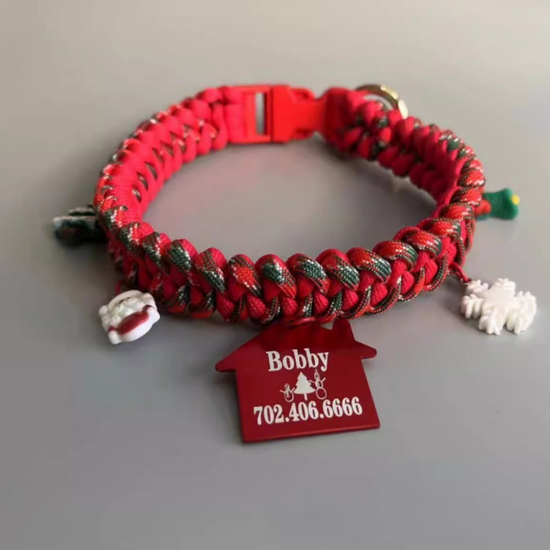 Hand Holding Rope Dog Leash