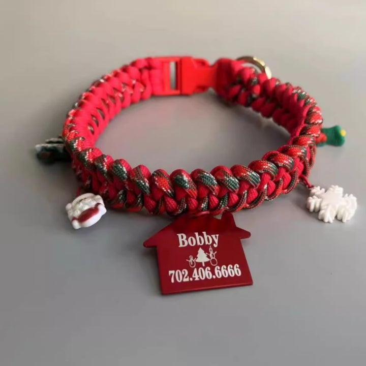 Hand Holding Rope Dog Leash