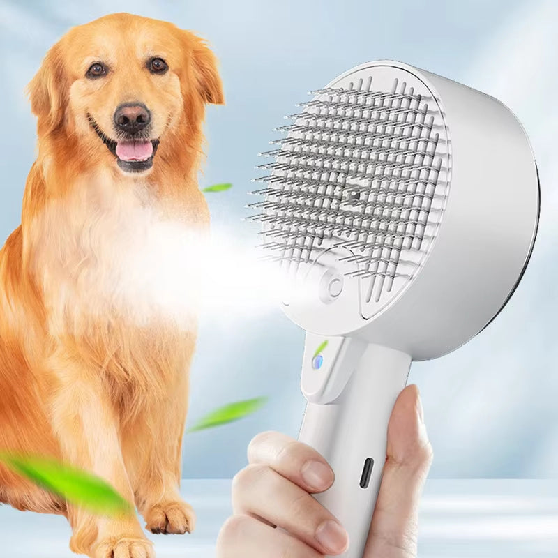 Cat Dog Steamy Brush