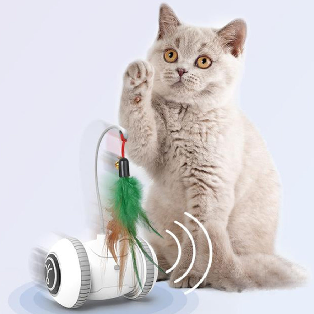 Interactive Pet Feather Toys