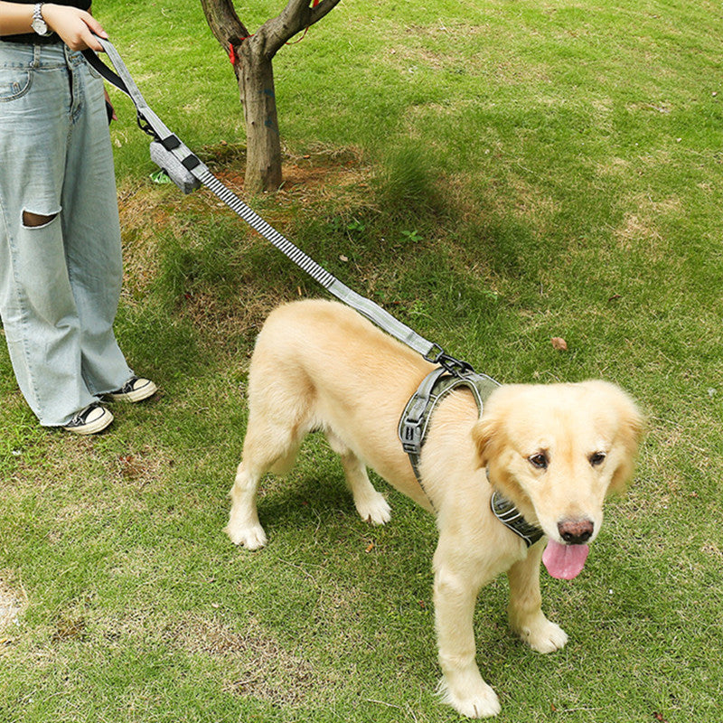 Pet Elastic Retractable Dog Leash